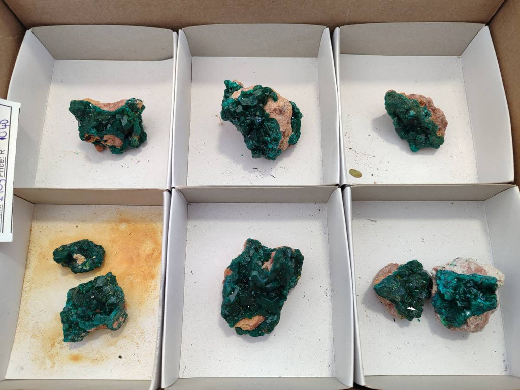 Natural Dioptase On Dolomite Specimens x 8 From Likasi, Congo - Toprock Gemstones and Minerals 