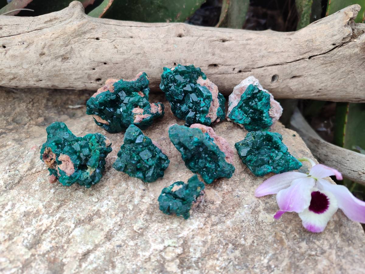 Natural Dioptase On Dolomite Specimens x 8 From Likasi, Congo - Toprock Gemstones and Minerals 