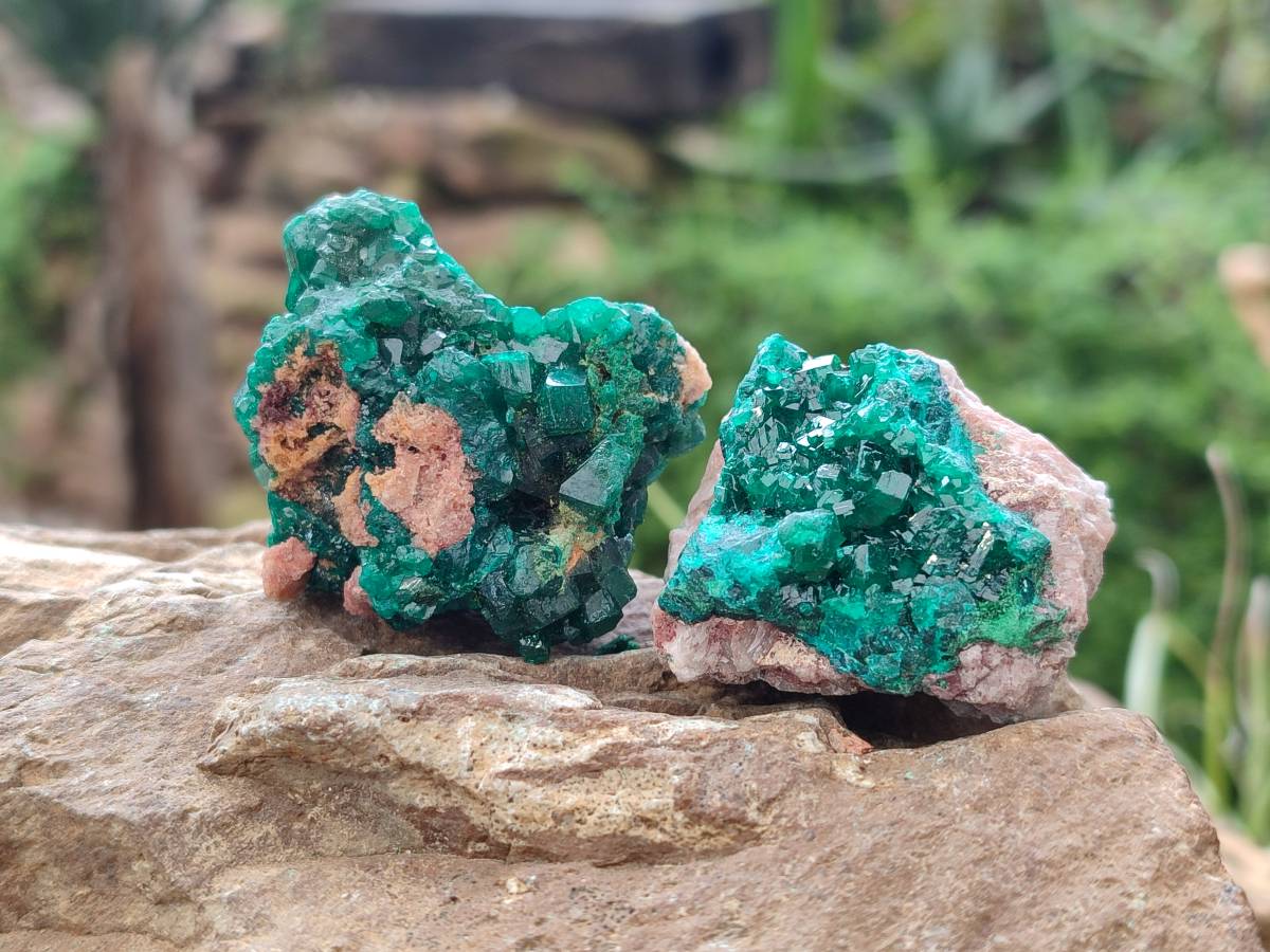 Natural Dioptase On Dolomite Specimens x 8 From Likasi, Congo - Toprock Gemstones and Minerals 