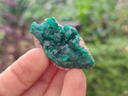 Natural Dioptase On Dolomite Specimens x 8 From Likasi, Congo - Toprock Gemstones and Minerals 
