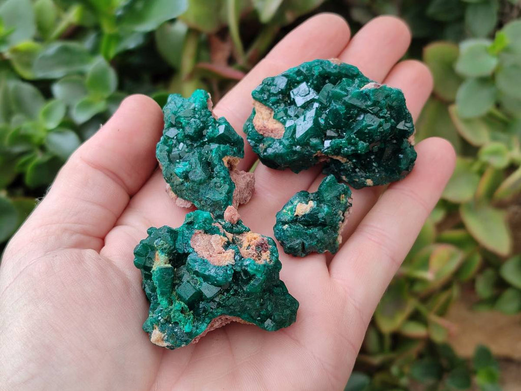 Natural Dioptase On Dolomite Specimens x 8 From Likasi, Congo - Toprock Gemstones and Minerals 