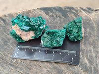 Natural Dioptase On Dolomite Specimens x 8 From Likasi, Congo