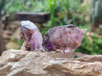 Natural Window Amethyst Crystals x 20 From Chiredzi, Zimbabwe