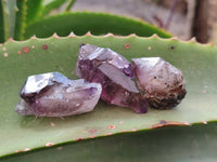 Natural Window Amethyst Crystals x 20 From Chiredzi, Zimbabwe