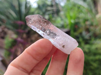 Natural Window Amethyst Crystals x 20 From Chiredzi, Zimbabwe