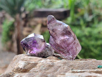 Natural Window Amethyst Crystals x 20 From Chiredzi, Zimbabwe
