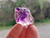 Natural Window Amethyst Crystals x 20 From Chiredzi, Zimbabwe