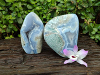 Polished Blue Lace Agate Standing Free Forms x 2 From Nsanje, Malawi
