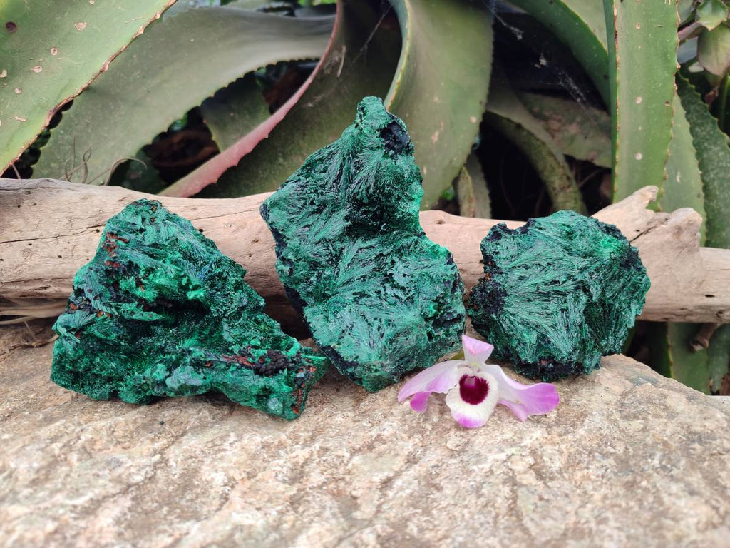 Natural Silky Malachite Specimens x 3 From Kasompe, Congo - Toprock Gemstones and Minerals 