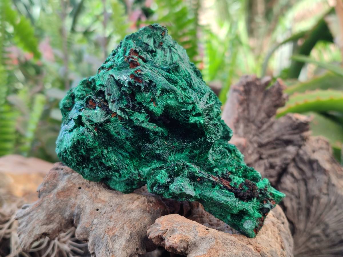 Natural Silky Malachite Specimens x 3 From Kasompe, Congo - Toprock Gemstones and Minerals 