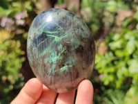 Polished Labradorite Standing Free Forms x 6 From Tulear, Madagascar