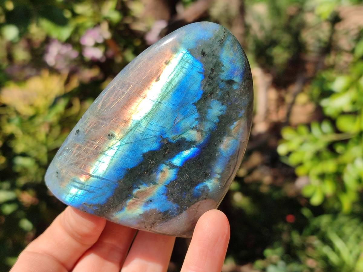 Polished Labradorite Standing Free Forms x 6 From Tulear, Madagascar - Toprock Gemstones and Minerals 