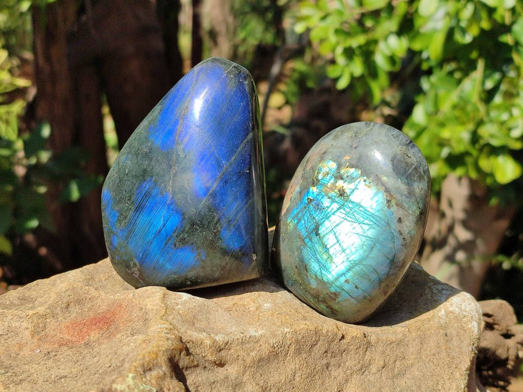 Polished Labradorite Standing Free Forms x 6 From Tulear, Madagascar - Toprock Gemstones and Minerals 