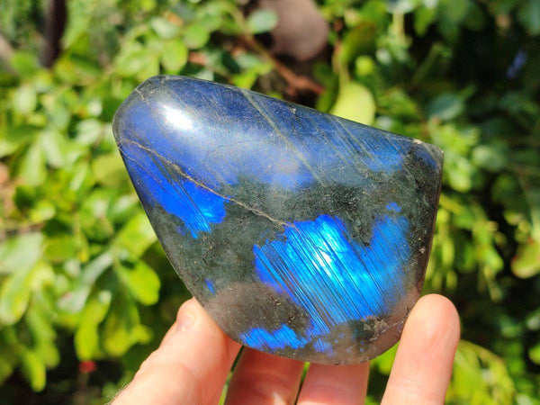 Polished Labradorite Standing Free Forms x 6 From Tulear, Madagascar