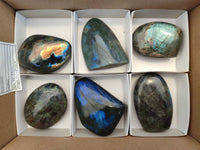 Polished Labradorite Standing Free Forms x 6 From Tulear, Madagascar