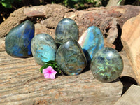 Polished Labradorite Standing Free Forms x 6 From Tulear, Madagascar
