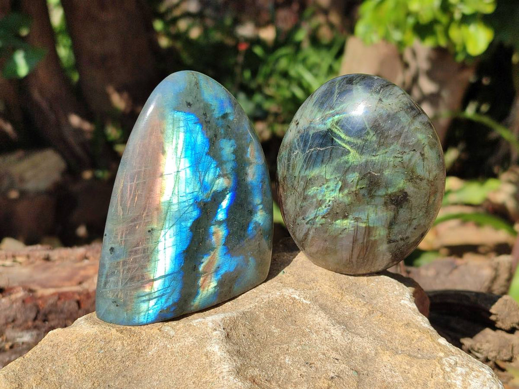 Polished Labradorite Standing Free Forms x 6 From Tulear, Madagascar - Toprock Gemstones and Minerals 