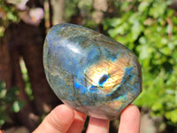 Polished Labradorite Standing Free Forms x 6 From Tulear, Madagascar