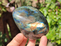 Polished Labradorite Standing Free Forms x 6 From Tulear, Madagascar