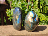 Polished Labradorite Standing Free Forms x 6 From Tulear, Madagascar