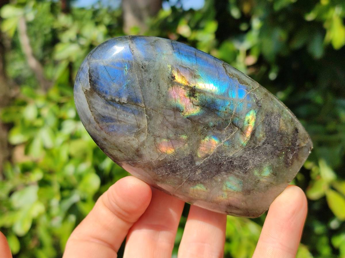 Polished Labradorite Standing Free Forms x 6 From Tulear, Madagascar - Toprock Gemstones and Minerals 