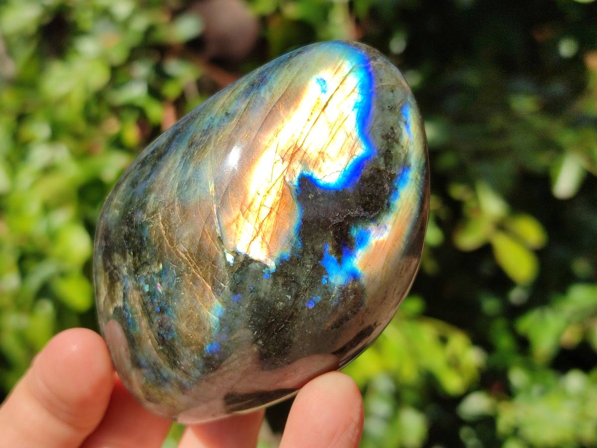 Polished Labradorite Standing Free Forms x 6 From Tulear, Madagascar - Toprock Gemstones and Minerals 