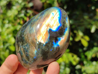 Polished Labradorite Standing Free Forms x 6 From Tulear, Madagascar