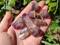 Natural Window Amethyst Crystals x 35 From Chiredzi, Zimbabwe