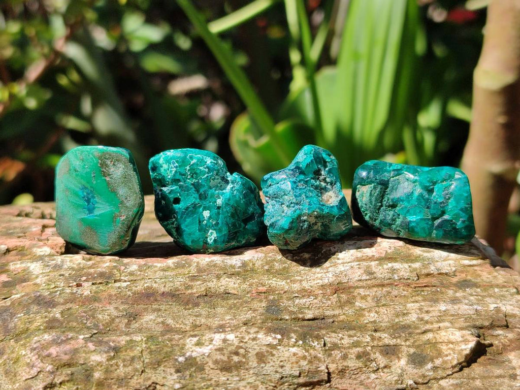 Polished Dioptase Free Forms x 35 From Likasi, Congo - Toprock Gemstones and Minerals 