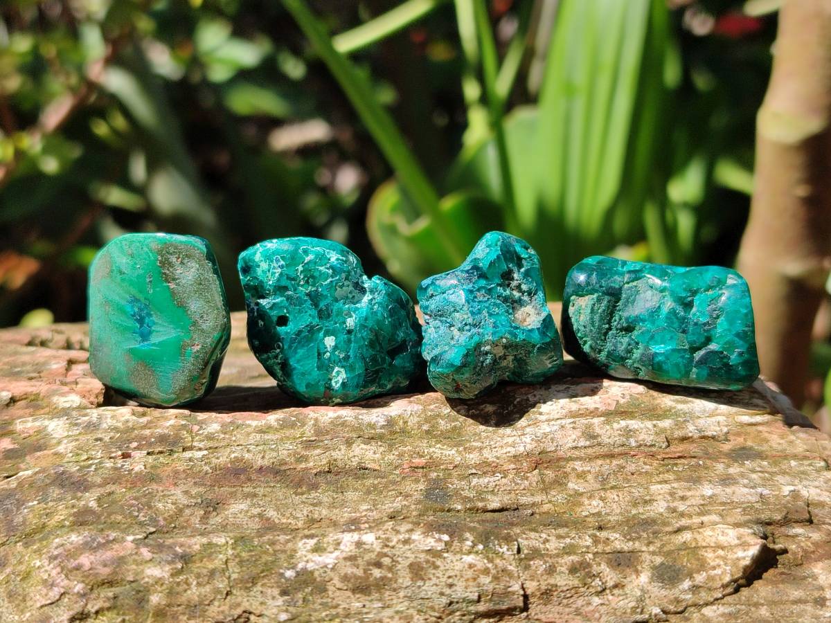 Polished Dioptase Free Forms x 35 From Likasi, Congo - Toprock Gemstones and Minerals 