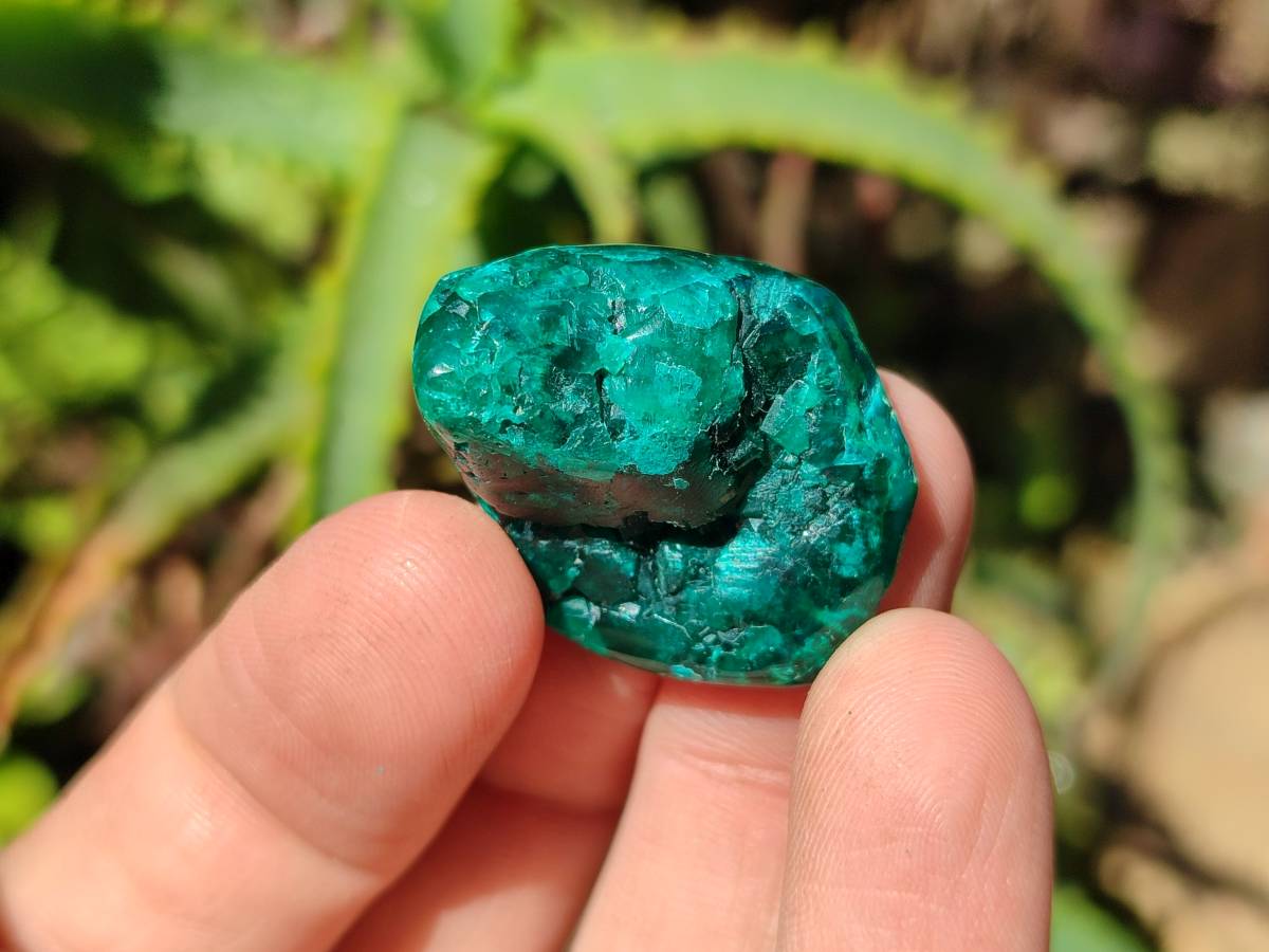 Polished Dioptase Free Forms x 35 From Likasi, Congo - Toprock Gemstones and Minerals 