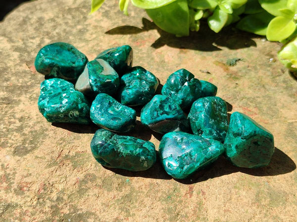 Polished Dioptase Free Forms x 35 From Likasi, Congo