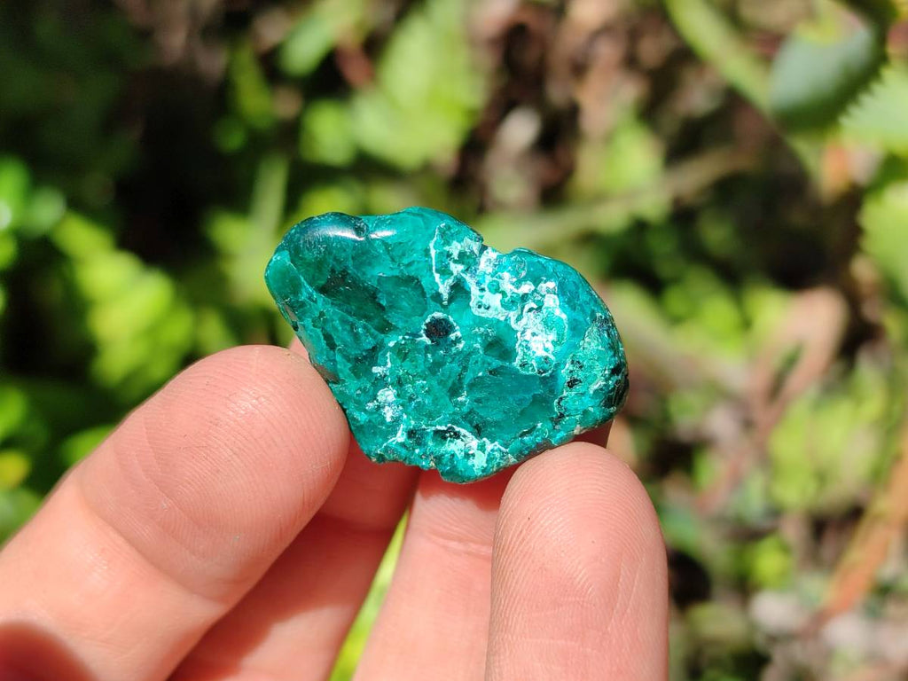 Polished Dioptase Free Forms x 35 From Likasi, Congo - Toprock Gemstones and Minerals 