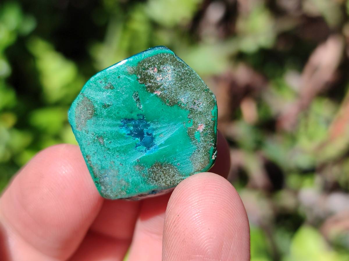 Polished Dioptase Free Forms x 35 From Likasi, Congo - Toprock Gemstones and Minerals 