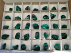 Polished Dioptase Free Forms x 35 From Likasi, Congo - Toprock Gemstones and Minerals 