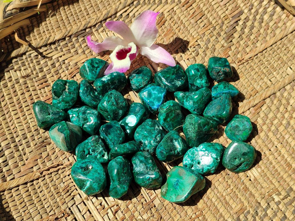 Polished Dioptase Free Forms x 35 From Likasi, Congo - Toprock Gemstones and Minerals 