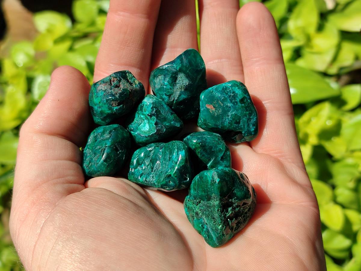 Polished Dioptase Free Forms x 35 From Likasi, Congo - Toprock Gemstones and Minerals 
