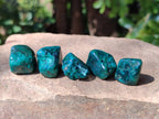 Polished Dioptase Free Forms x 35 From Likasi, Congo - Toprock Gemstones and Minerals 