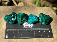 Polished Dioptase Free Forms x 35 From Likasi, Congo