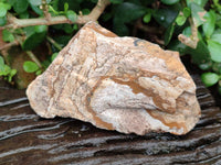 Natural Cobbed Picture Stone Jasper Specimens x 12 From Ais-Ais, Namibia