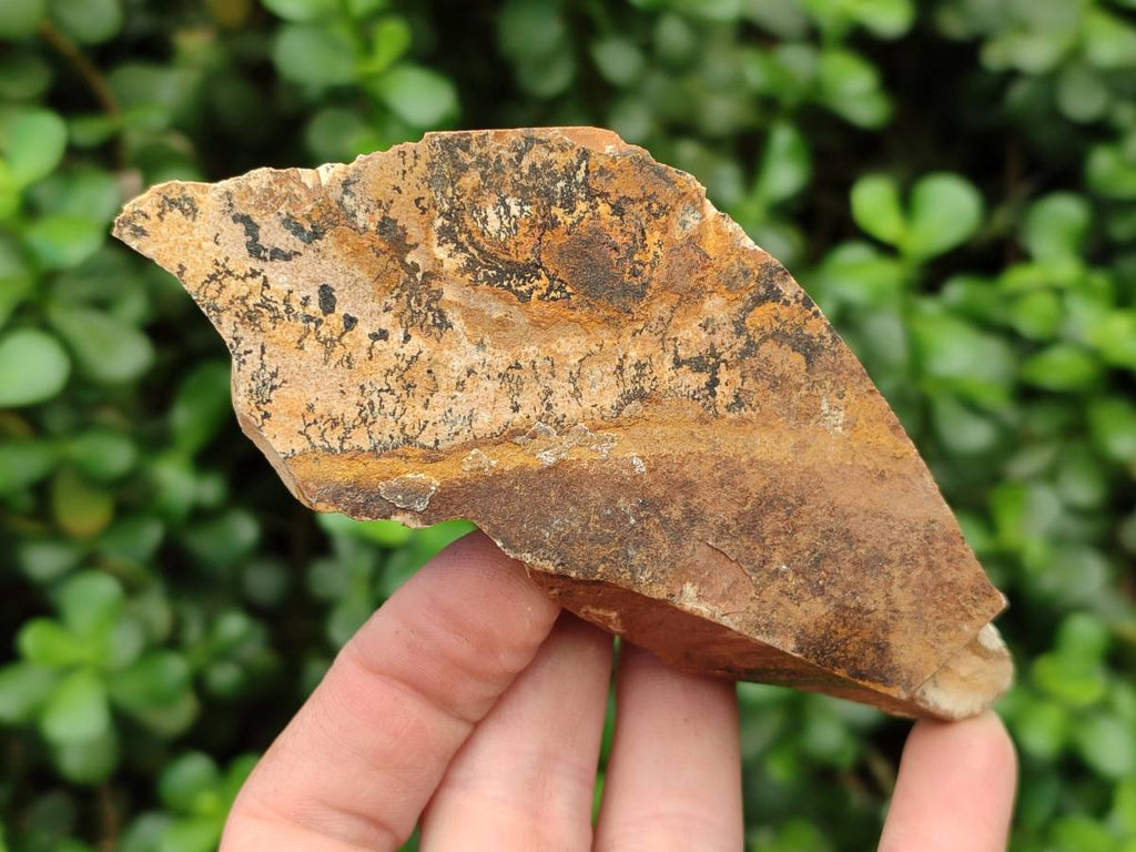 Natural Cobbed Picture Stone Jasper Specimens x 12 From Ais-Ais, Namibia - Toprock Gemstones and Minerals 