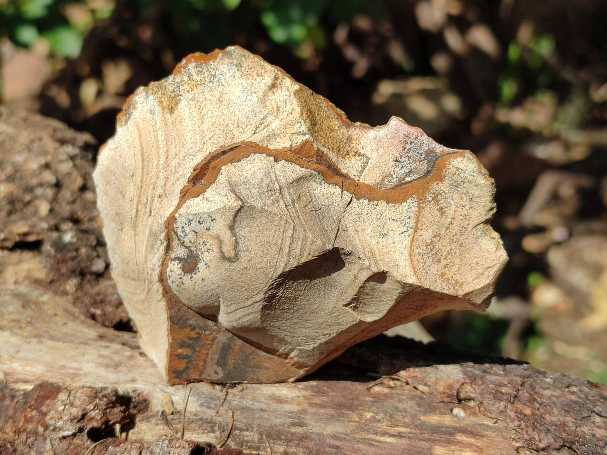 Natural Cobbed Picture Stone Jasper Specimens x 12 From Ais-Ais, Namibia - Toprock Gemstones and Minerals 