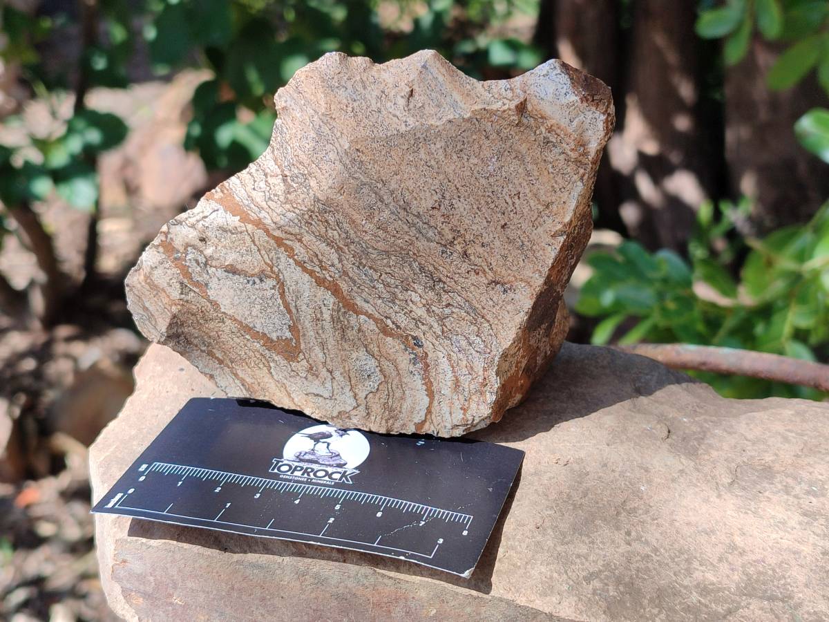 Natural Cobbed Picture Stone Jasper Specimens x 12 From Ais-Ais, Namibia - Toprock Gemstones and Minerals 