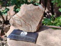 Natural Cobbed Picture Stone Jasper Specimens x 12 From Ais-Ais, Namibia