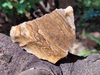 Natural Cobbed Picture Stone Jasper Specimens x 12 From Ais-Ais, Namibia