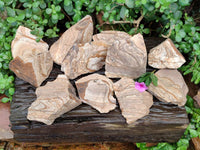 Natural Cobbed Picture Stone Jasper Specimens x 12 From Ais-Ais, Namibia