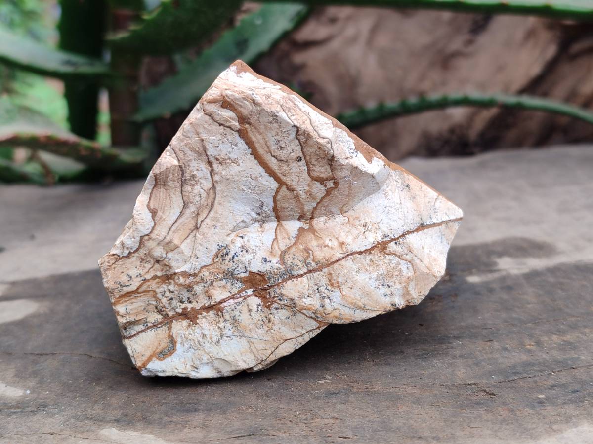 Natural Cobbed Picture Stone Jasper Specimens x 12 From Ais-Ais, Namibia - Toprock Gemstones and Minerals 