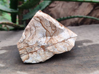 Natural Cobbed Picture Stone Jasper Specimens x 12 From Ais-Ais, Namibia