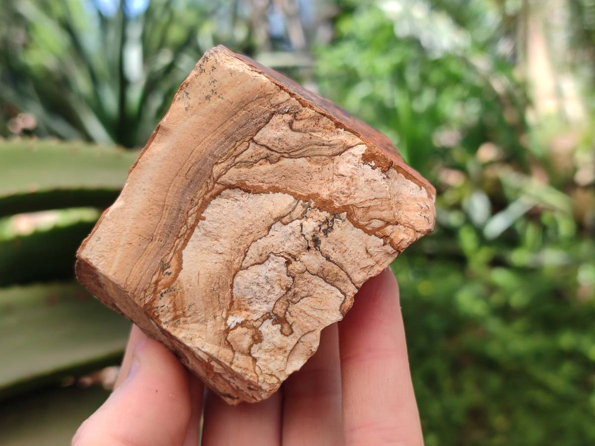Natural Cobbed Picture Stone Jasper Specimens x 12 From Ais-Ais, Namibia - Toprock Gemstones and Minerals 