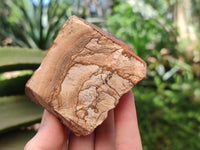 Natural Cobbed Picture Stone Jasper Specimens x 12 From Ais-Ais, Namibia